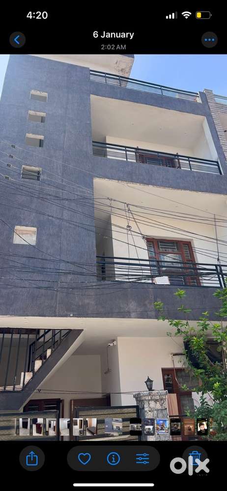 Want family or only working boys or ya  only working girls