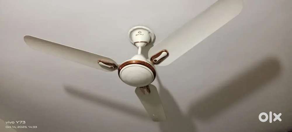 Bajaj Ceiling Fan