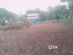 ORGINAL LAND FOR SALE 42 CENTS  KAKKANAD INFOPARK 1 KMS  ONLY
