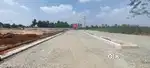 Invest in Land, Invest in Your Future