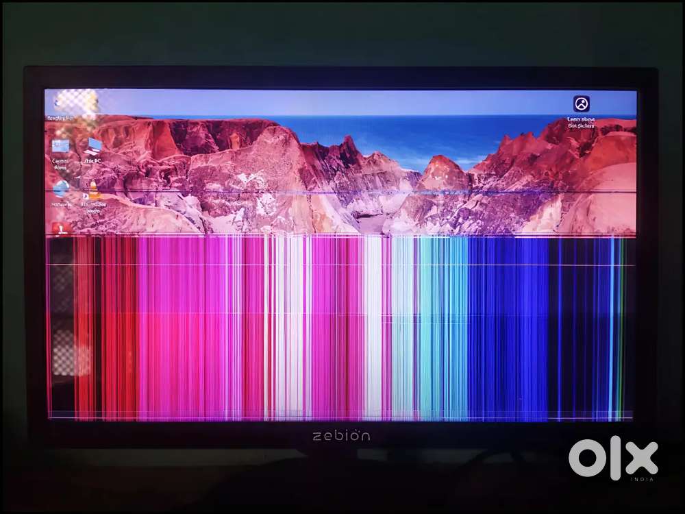 Zebion 18.5 inch corrupted display