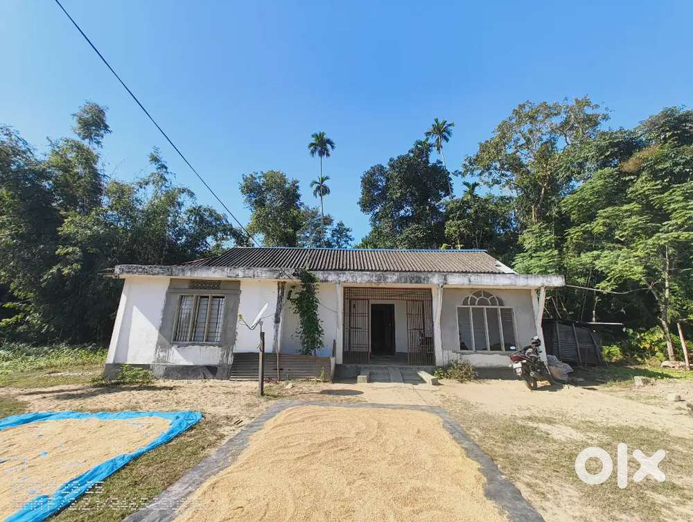 সম্পূৰ্ণ ২ বিঘা আছে আৰু লগতে ঘৰবাৰী সকলো।আমাক যোগাযোগ কৰিব ৮৬৩৮৯৯৫০০২।