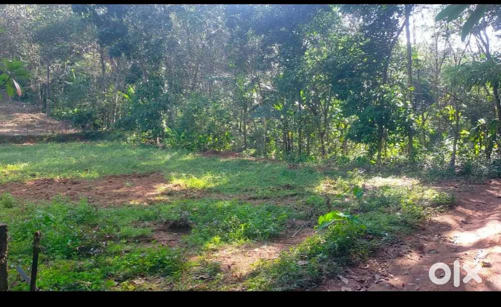 Land For Sale in Pathanamthitta, Thadiyoor