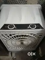 3 months old cooler