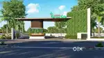 Beautiful green City site sale and good for construction