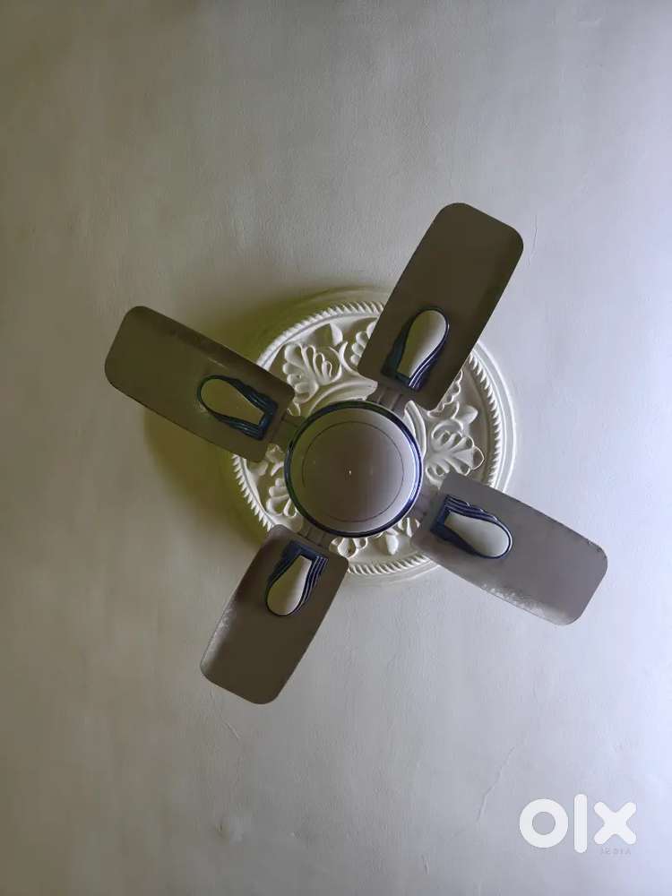 Wants to sell the fan