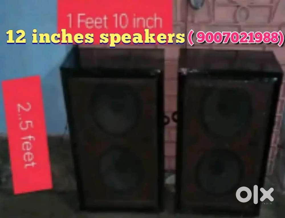 Double 12 & single 12 inches speakers box