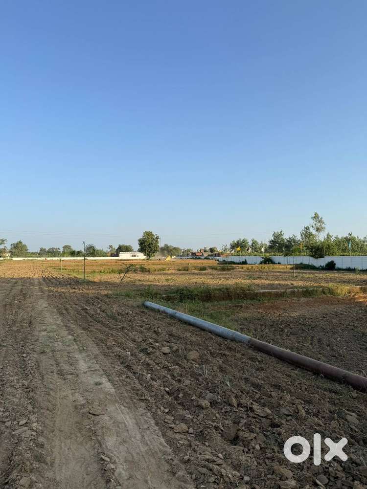 स्पोर्ट्स यूनिवर्सिटी के पास – Approved Aura Estate