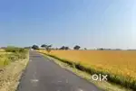 Agri land on road