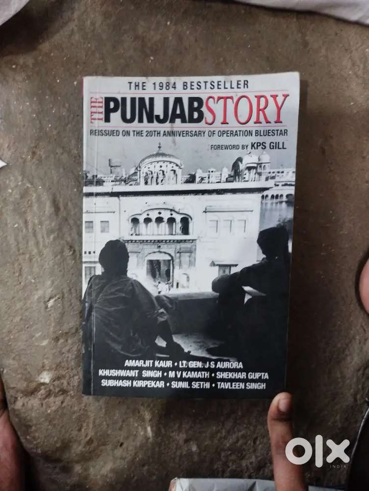 The Punjab Story