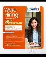 Education Consultant