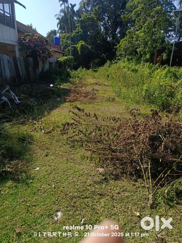 Land near Highway