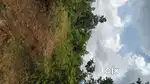 2 acre Electri pole , watershed alongside. Village road connectivity.