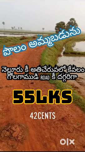 Agricultural land for sale : 55lks