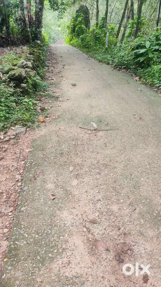 ARUVIKKARA mullilavin moodu