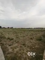 200 gaz Plot in Ali Nagar Dhorra Bypass.