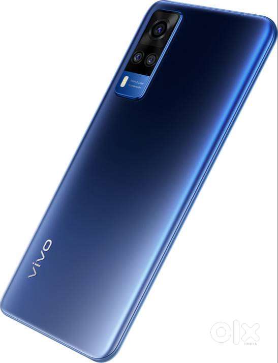 Vivo 2030. One year old
