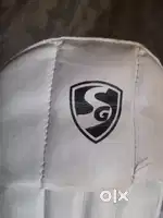 Wicket-Keeping pads