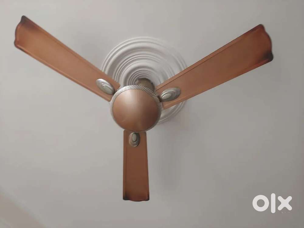 Ceiling fan