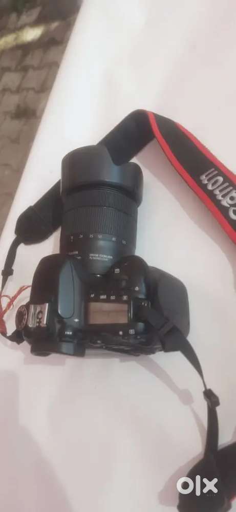 Canon 80D Camera