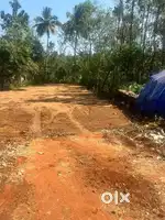 13.5 cent land plot parmabu Pullode Thrippalur Alathur Palakkad