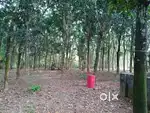 1 acre land for sale in velur