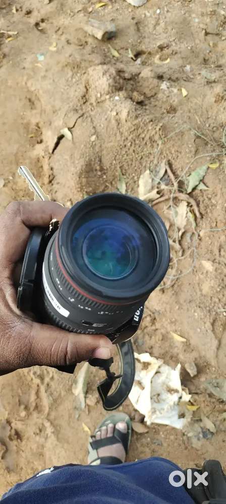 Sigma AF 70-300 APO DG for Nikon