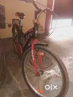 Avon 24 inch cycle