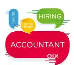 Accountant/Junior Accountant