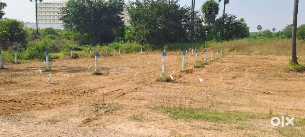 DTCP Northeast plot 400 sqyd 2 50ft roads