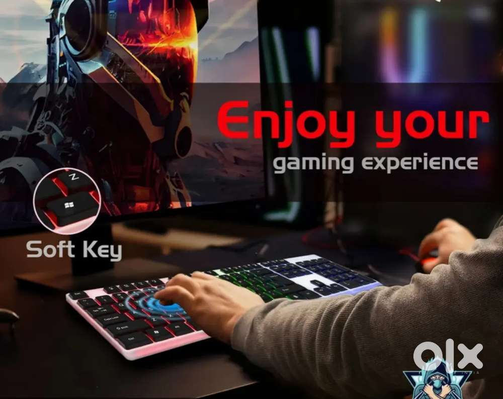 Keyboard RGB lighting price Rahane wala hai ₹500