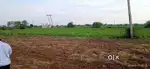 Krashi bhumi h
