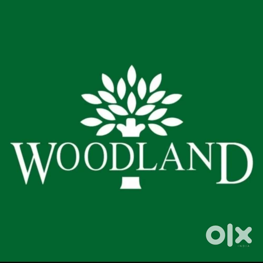 Salesman at Woodland outlet (Age limit is 26)