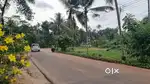 15,20cent plots ,ldeal for Flat,Villa,Hostel Brilliant mutholi