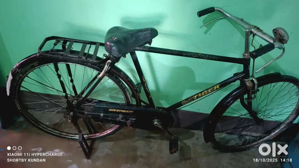 Nova tiger bicycle