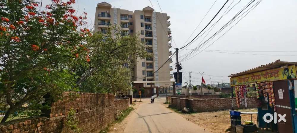 Palm elegance at argora Ranchi