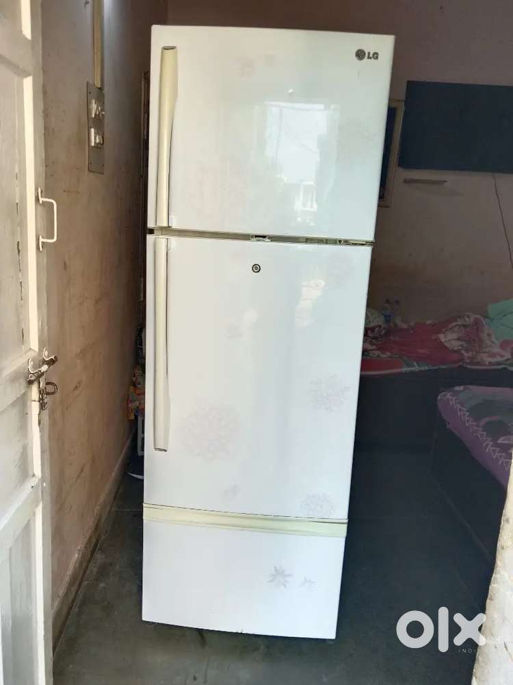 LG 350 LITER 5 STAR TRIPEL DOOR