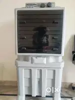 Cooler fan