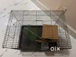 Bird cage with mating box