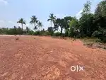 Beautiful land in 25 to 50 cents near neralakatte.   Kundapura