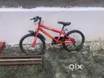 Kids cycle read descriptions