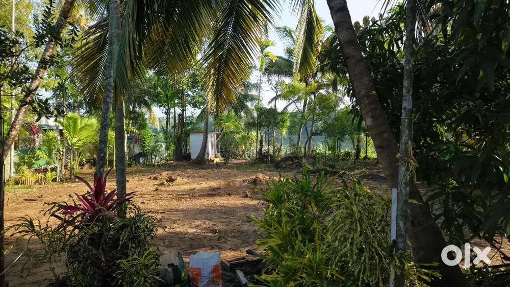 Land for sale 15 cent  at murinjapuzha