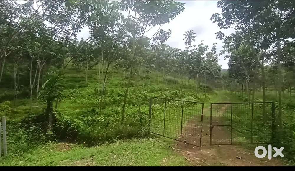 For sale 5 acre to 22 acre land