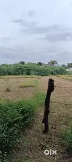 I HAVE AGRICULTURE LAND MIDDLE OF THE CITY