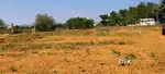 Plot Available