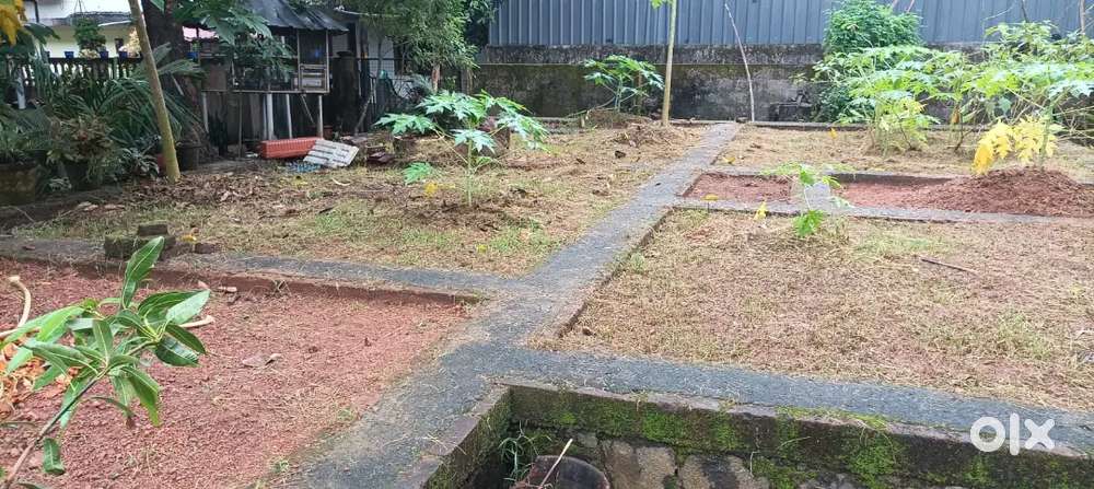 Aluva paravoor kavala. 4,cent land & 1800sqft foundation for sale.