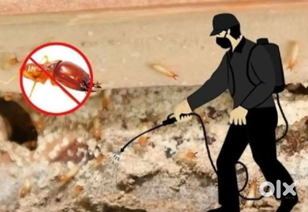 We provide reliable safe and affordable pestcontrol service in chennai