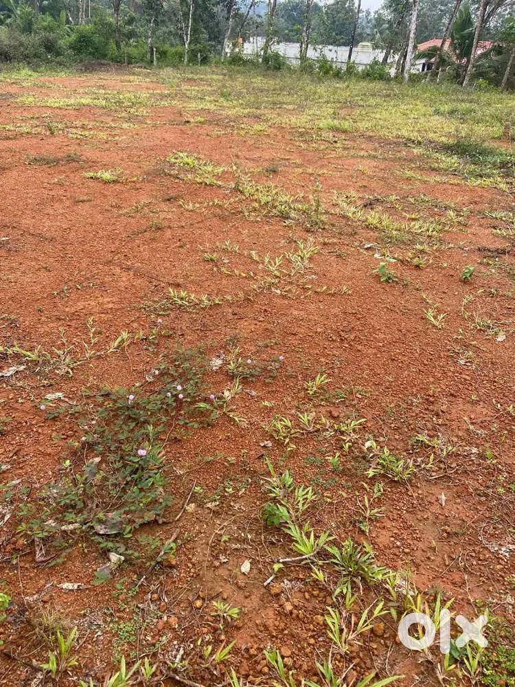 PLOT FOR SALE NEAR TO MC ROAD KILIVAYAL ADOOR