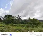 50 Cent Mountain View Land for Sale in Vagamon – 1 km from Town