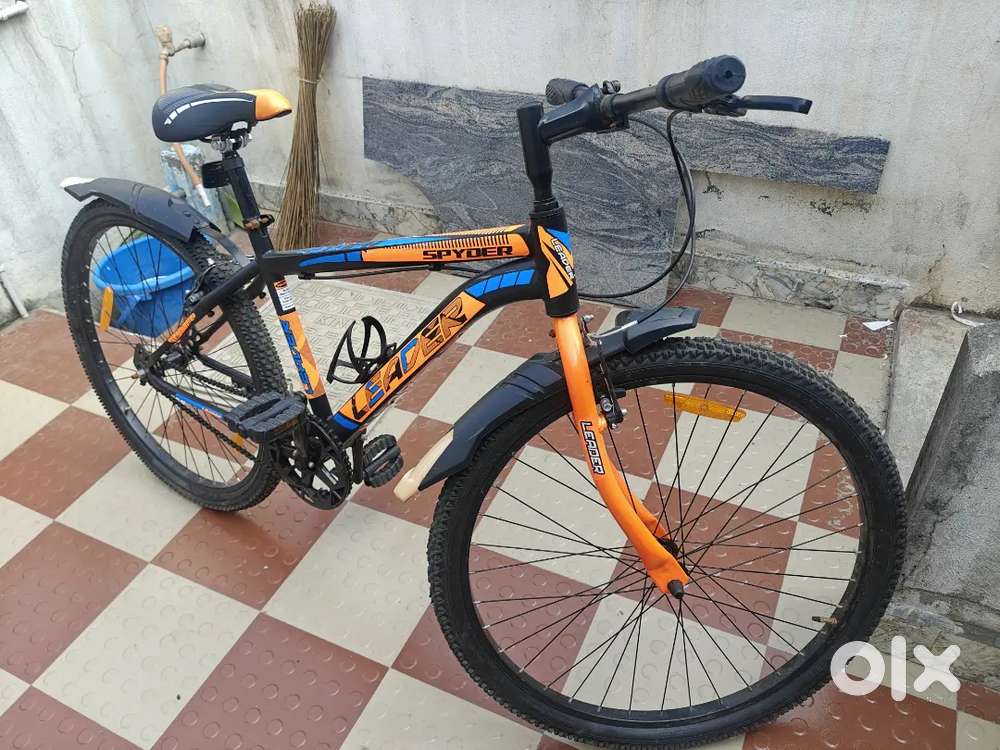 new cycle with no damage